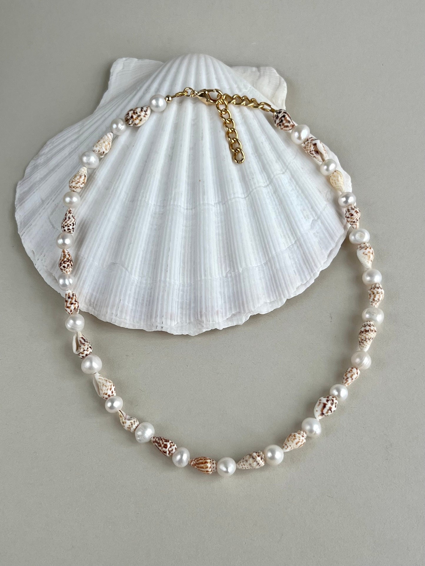Cowrie - Shell Necklace